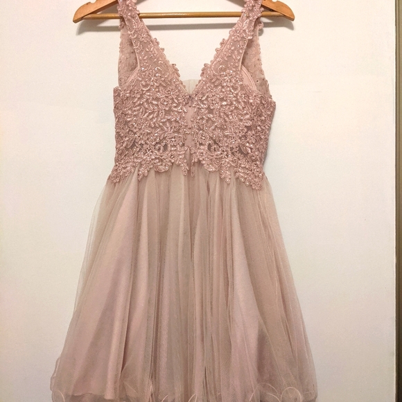 Pink Winter Formal Dress